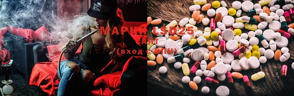 PSILOCYBIN Майский