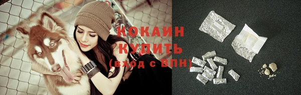 PSILOCYBIN Майский