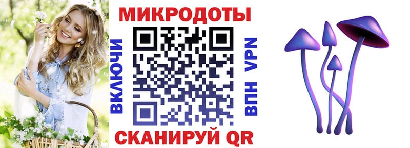 Псилоцибиновые грибы мицелий  Купить закладки  Дагестанские Огни 